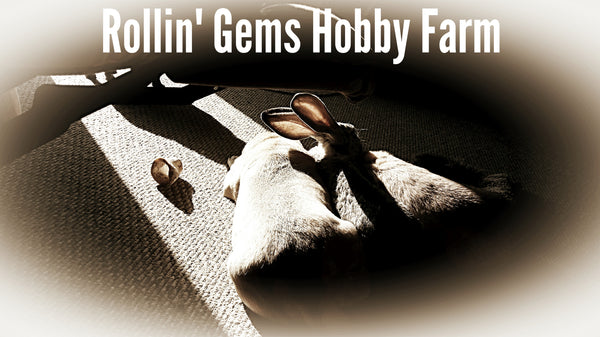 Rollin' Gems Hobby Farm